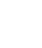 ssl_escudo_blanco